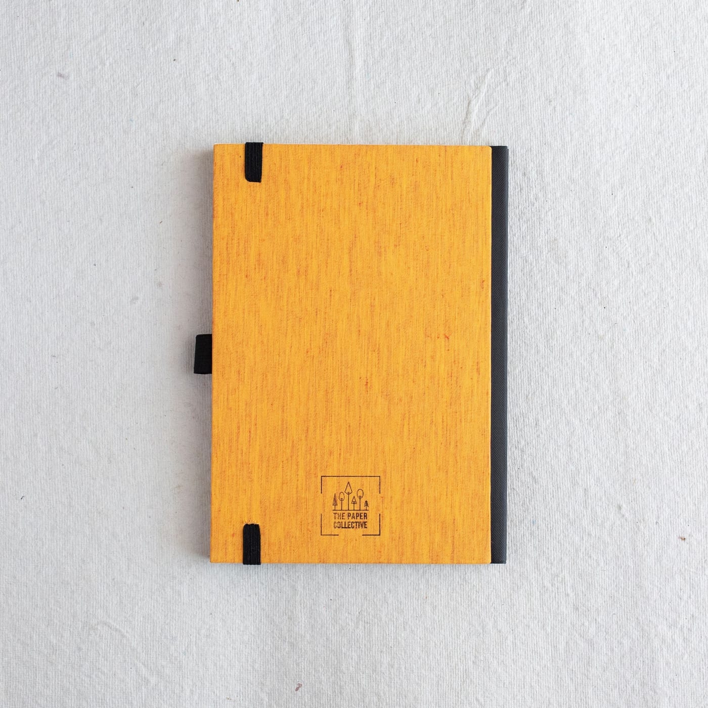 Marigold — photo 4 of 6