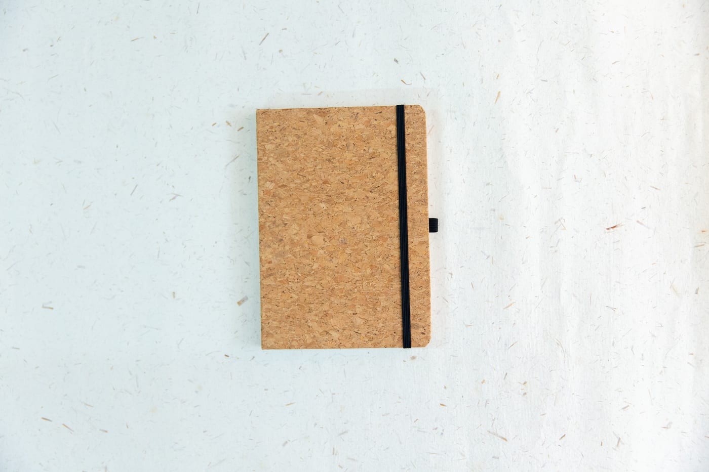 Cork notebooks