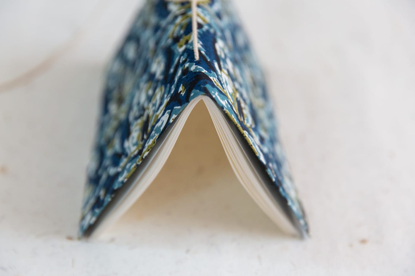Indigo Bloom — photo 15 of 25