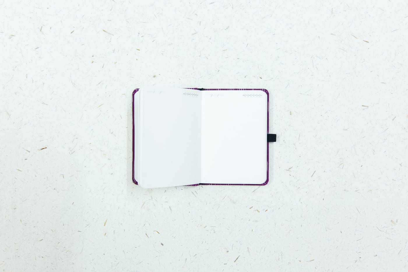 Purple Pushpam — photo 4 of 6