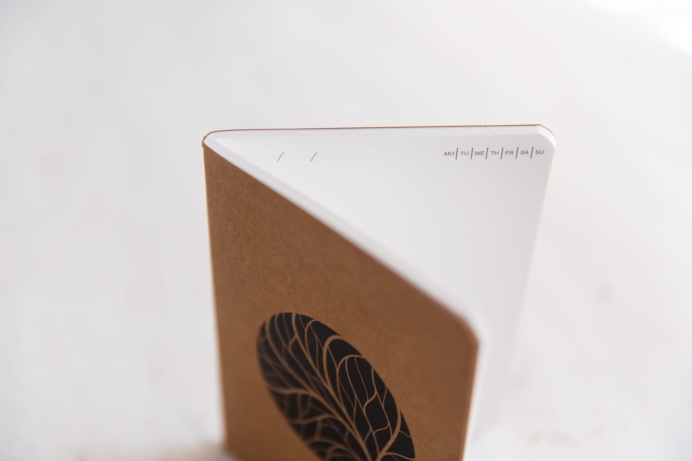 Leafline — photo 4 of 5