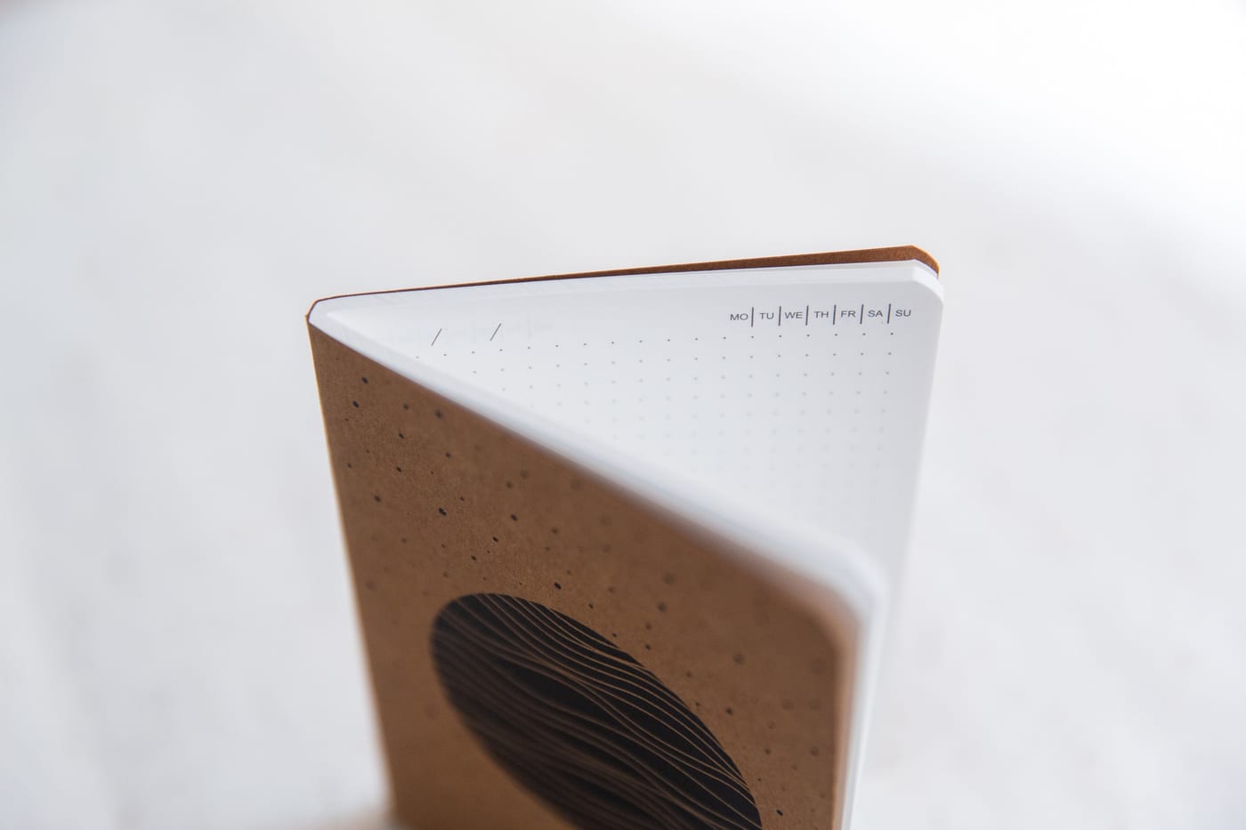 Magnetic Field — photo 13 of 13