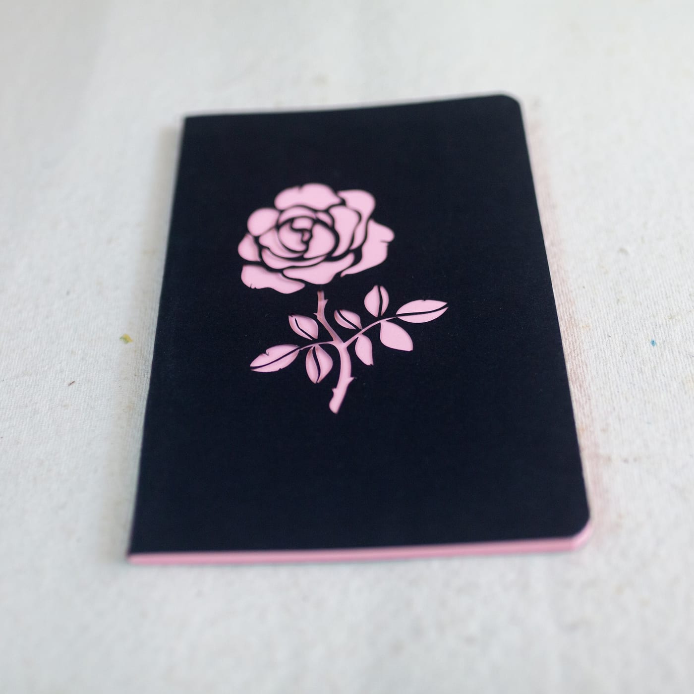 Rose — photo 3 of 7