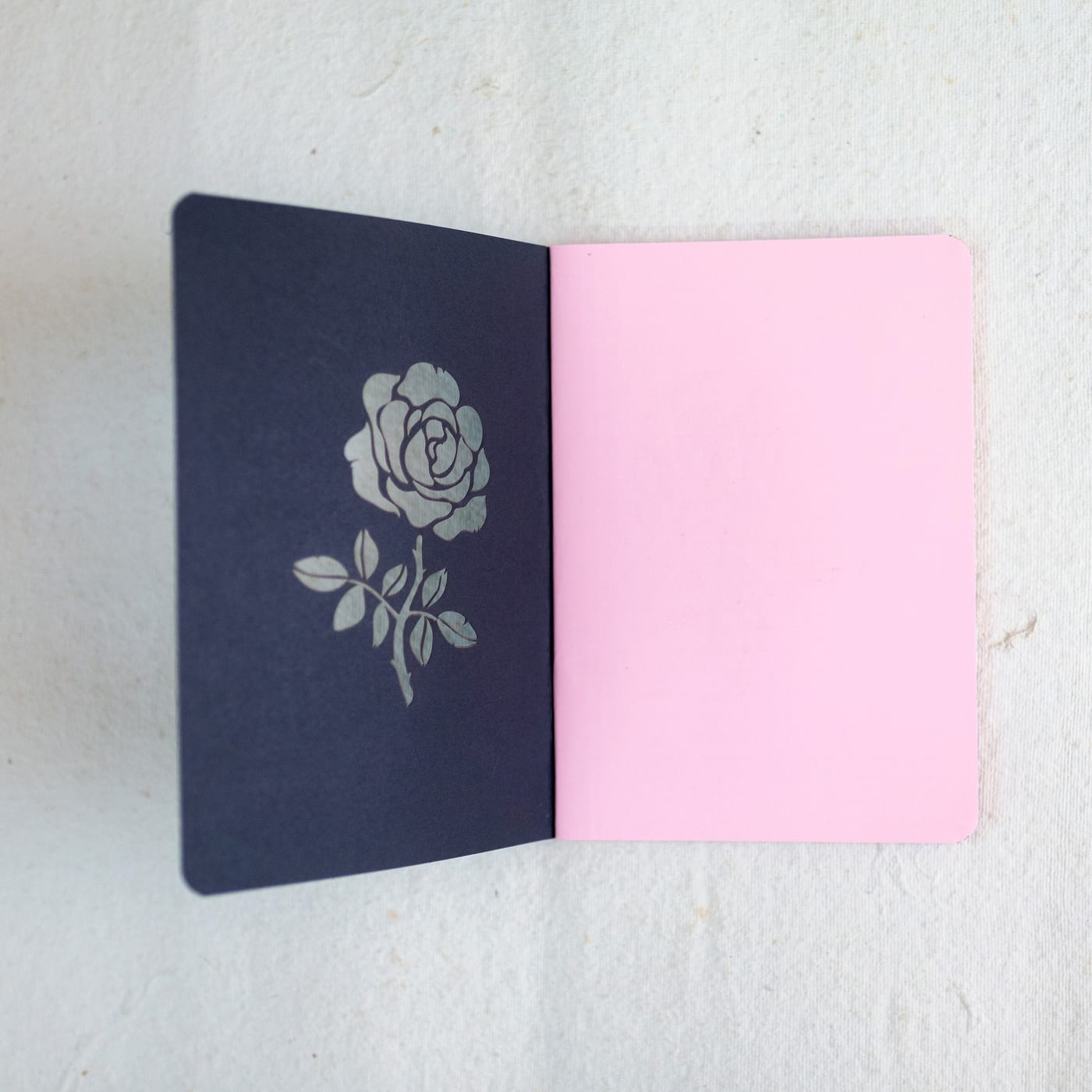 Rose — photo 4 of 7