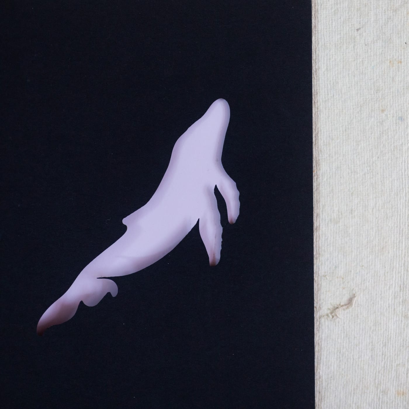 Whale — photo 3 of 4
