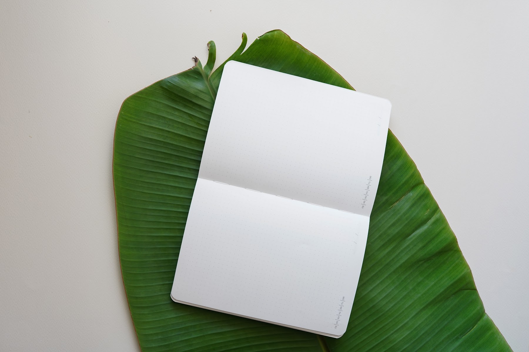A notebook lying open on a banana leaf